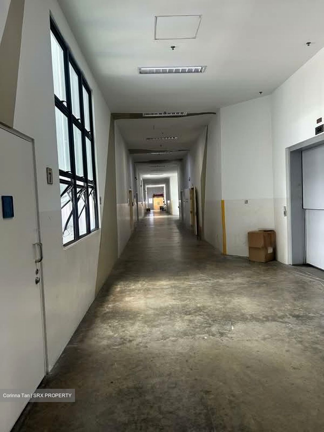 Tanah Merah Kechil Link (D16), Condominium #555539191